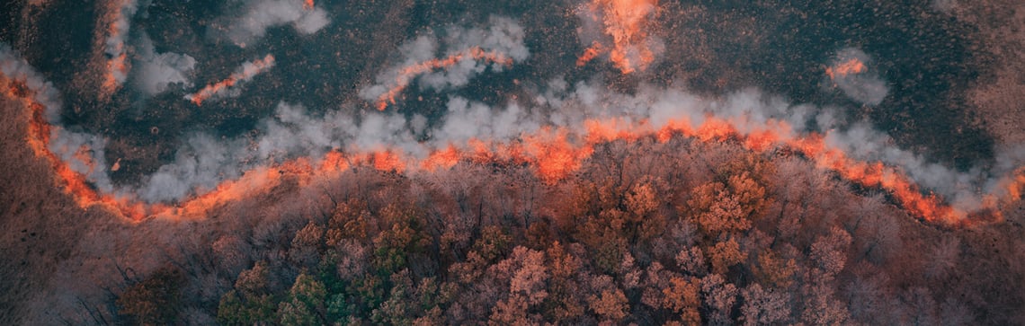 wildfire burning